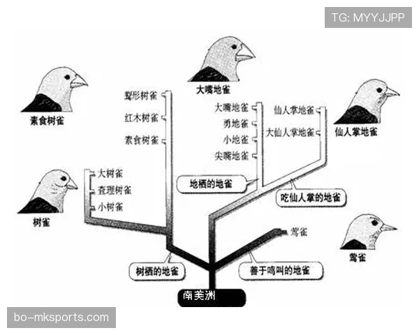 莱奥与内马尔技术风格的差异根源与进化路径对比
