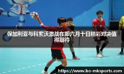 mk体育官网