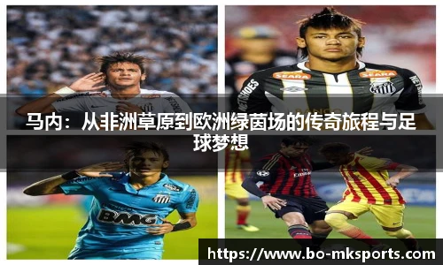 mk体育官网首页